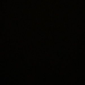 Meet your Posher, Shanel